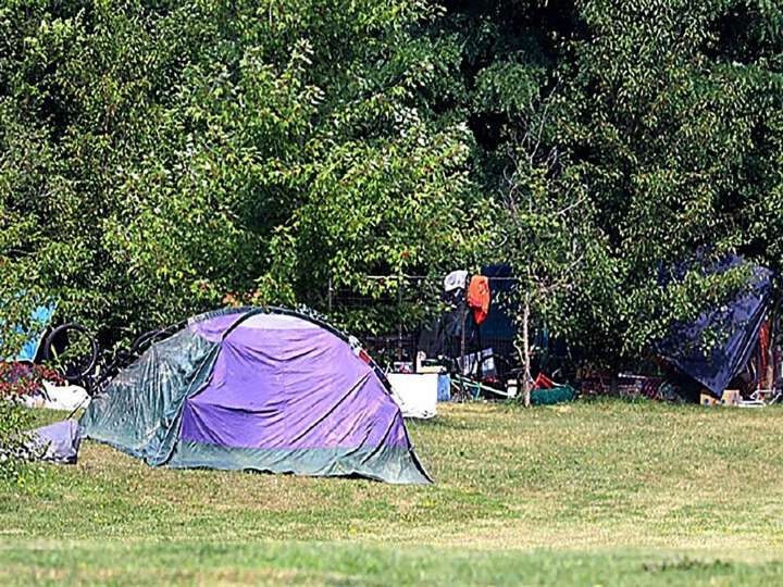 Chatham-Kent council hears encampment advisory committee concerns