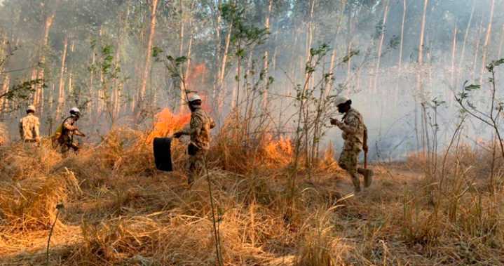 Defensoría alerta por aumento de incendios en bosques secos del Cesar
