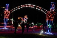 Howard County holiday events: lights markets and concerts