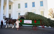 Melania Trump recibió el árbol de Navidad de la Casa Blanca