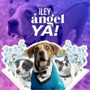 FORTALECIENDO LA LEY ÁNGEL 