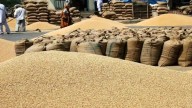 India likely to allow export of 5 lakh metric tonnes of organic wheat