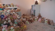 9-year-old collecting hundreds of bears for patients at Nationwide Children’s Hospital