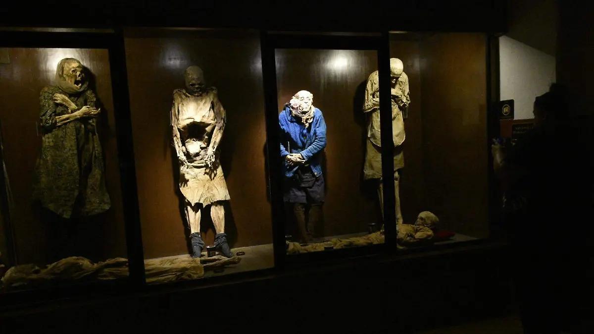 A un año de la localización de momia en al Panteón Sur de Celaya, no se sabe si podrá ser exhibida