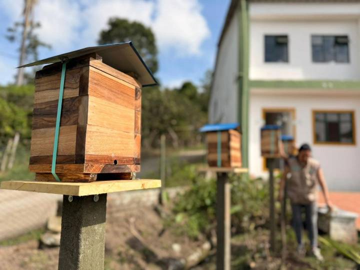 Cundinamarca instala 11 ‘Hoteles’ para abejas sin aguijón: Alianza CAR-Gobernación impulsa la polinización y la biodiversidad