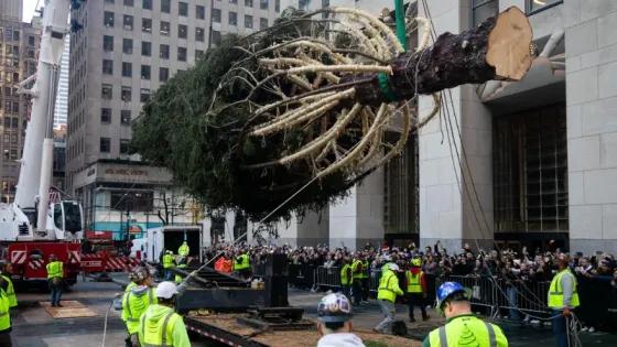 Nueva York da la bienvenida al árbol del Rockefeller Center y a la Navidad