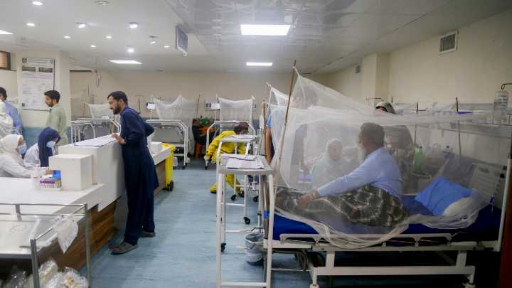 New malaria drug could be a life-saver : Goats and Soda : NPR