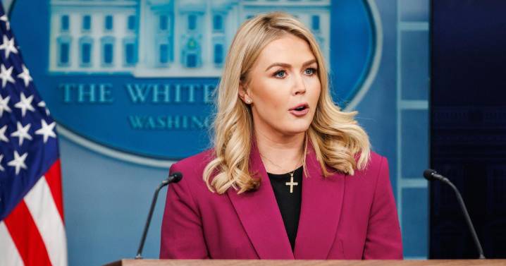 La Casa Blanca confirma que Trump estudia «medidas adicionales» contra los narcos en México