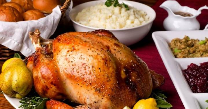 Which Thanksgiving foods you can share with your pets, and which you really shouldn't