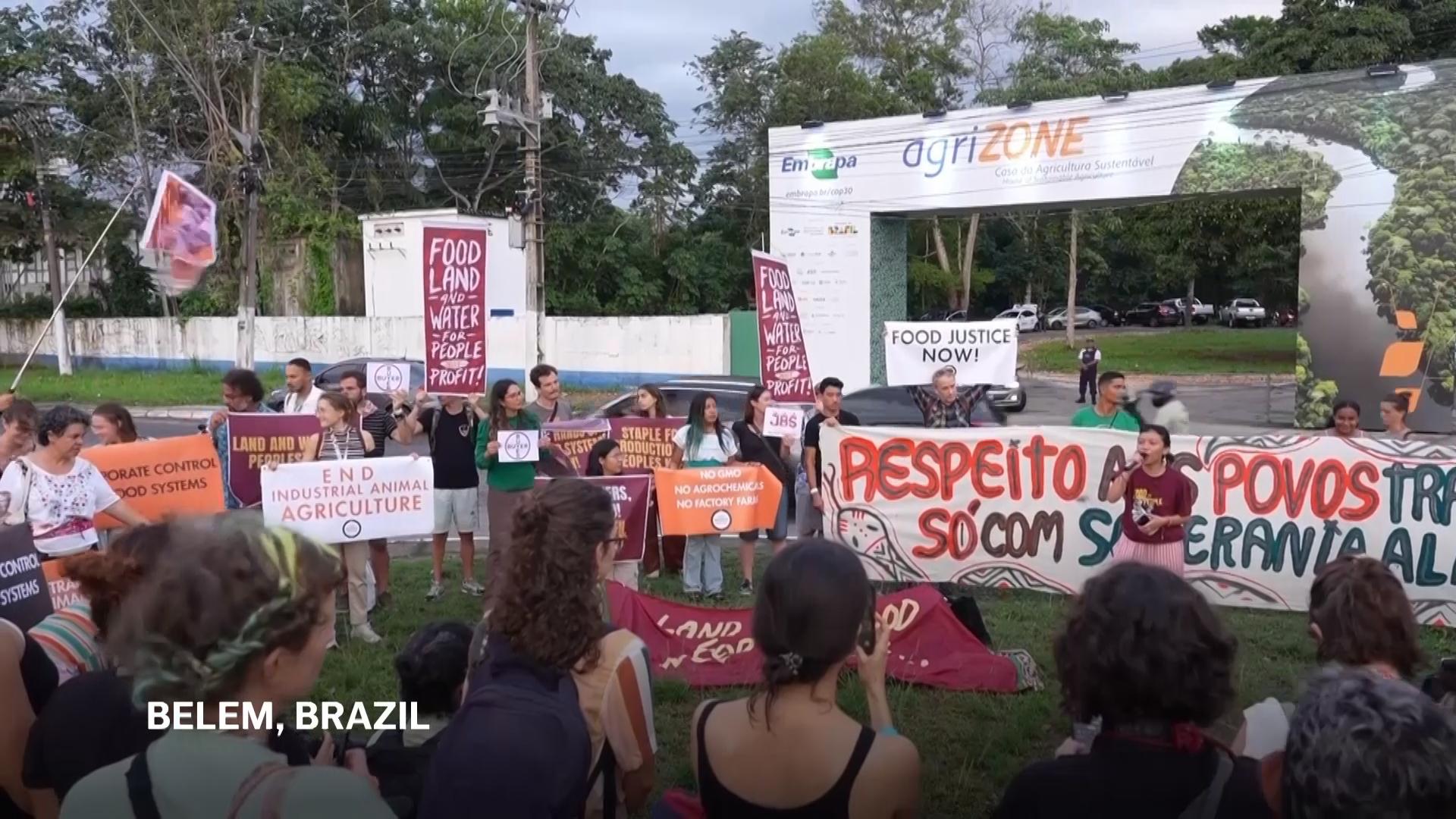 Demonstration at COP30 highlights impact of industrial farming