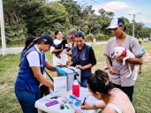 Jornadas de vacunación para mascotas en Yopal