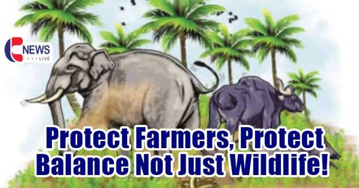 Should only Wildlife be Protected? The Farmers’ Plea for Balance in Kerala’s Growing Human Animal Conflict
