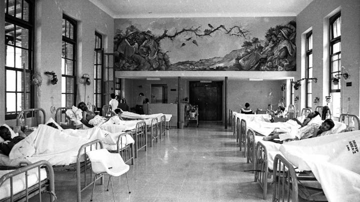 Este fue el primer trasplante exitoso hecho en Colombia: se logró en Medellín