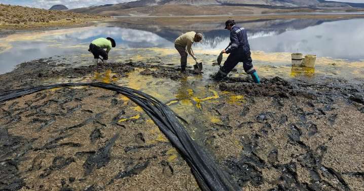 Retiran cerca de 6 mil litros de aceite desde el lago Chungará tras derrame que afecta a aves y fauna endémica