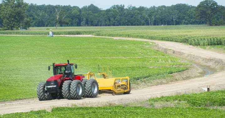 ‘On its knees’: Here’s what the agriculture commissioner said about the shrimping industry