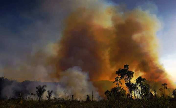 Emisiones de gases de efecto invernadero alcanzan récord tras subir 2,3% en 2024