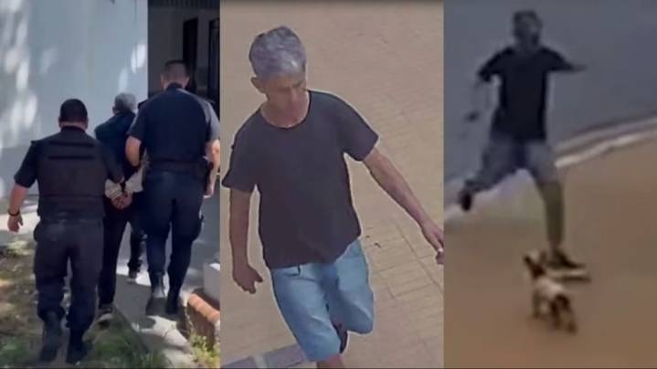 Detuvieron a un hombre por patear brutalmente a un perrito