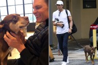Tom Brady Cloned His Dog Lua