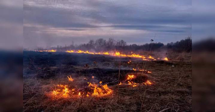 Over 4300 stubble burning incidents in Punjab, Haryana between Sep 15