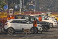 ‘White collar’ terror module was scouting for suicide bomber since last year: Officials