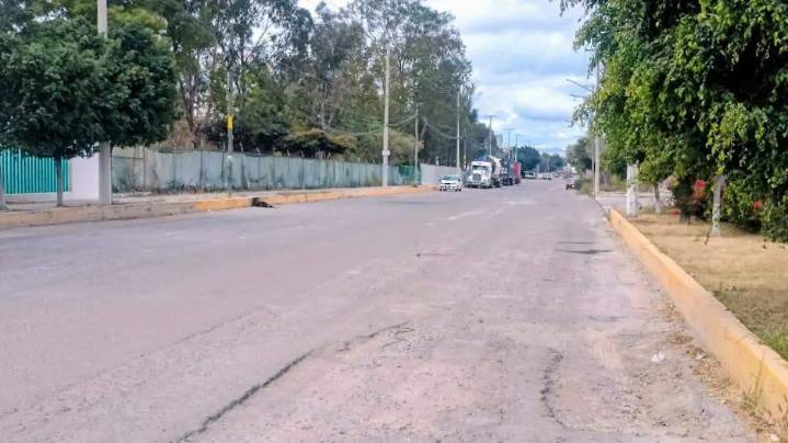 Prenden fuego a cadáver de perrita abandonado en la vía pública