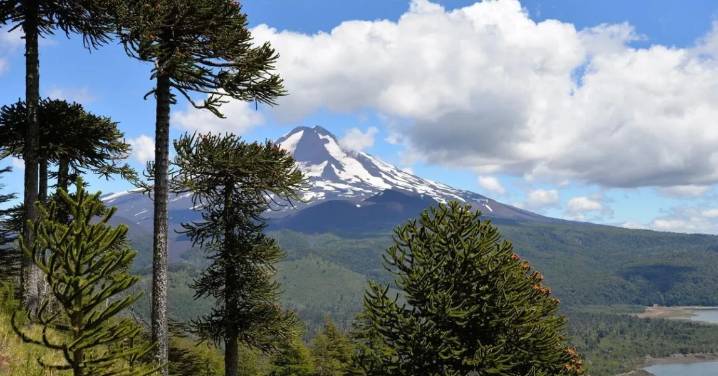 Prevenir impactos negativos sobre personas y comunidades: Llaman a candidaturas a integrar derechos humanos en propuestas