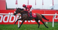 Half price tickets to Kempton Park Ladbrokes Christmas Festival