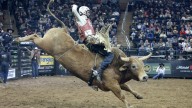 Paramount Inks PBR Five-Year Streaming Deal for Unleash the Beast