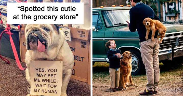 49 Uplifting Dog Posts To Make Your Day Better (New Pics)