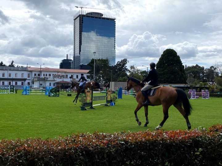 Convocatoria para habilitación de profesionales en el trámite de Pasaporte Equino
