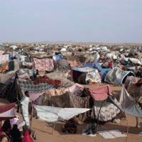 'Killed on sight': Sudanese fleeing El-Fasher recall ethnic attacks