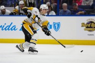 Dallas Stars Recall Vladislav Kolyachonok