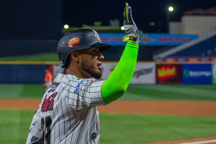 ROSTER SEMANAL. Los Leones se arman con 2 grandeligas, Anthony Vizcaya y Liván Soto