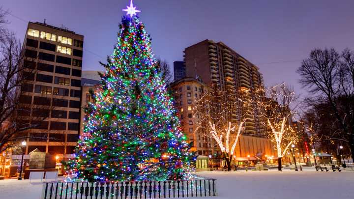 Dates announced for Boston Common tree lighting, other holiday events