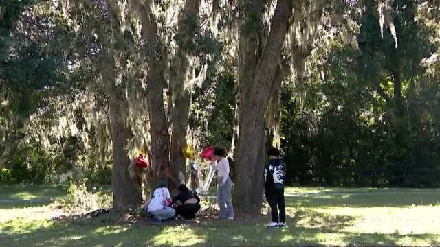 Lights out on road where 3 teens were killed in Apopka crash