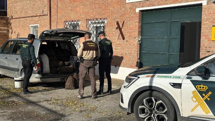 Cinco detenidos tras robar 340 kilos de nueces en un pueblo de Huesca y darse a la fuga