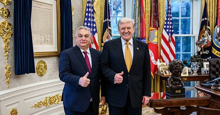 The Authoritarian Playbook: Hungarians warn those living under Trump