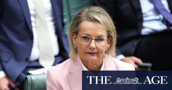 Sussan Ley leadership: Opposition leader insists she will stay in job amid net zero policy dispute