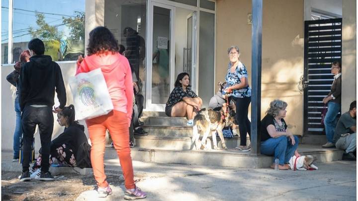 La Municipalidad de Paraná continuará con los operativos de salud animal