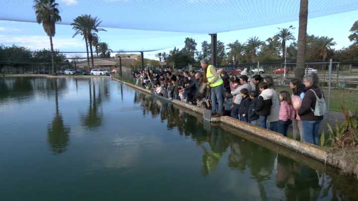 Éxito de participación en la jornada de puertas abiertas del Centro de Acuicultura ‘Vegas del Guadiana’ More