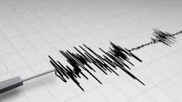 Earthquake at Kozhikode: People within one kilometer radius report tremors