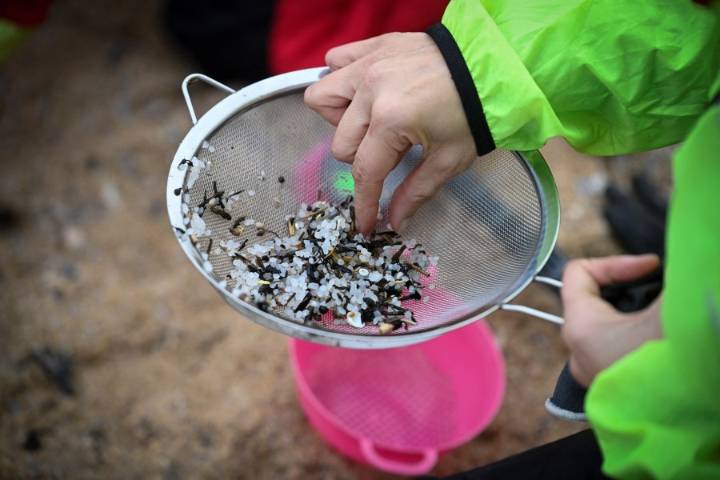 Nurdles are infesting Texas waters; Gov. Abbott pushes for more production