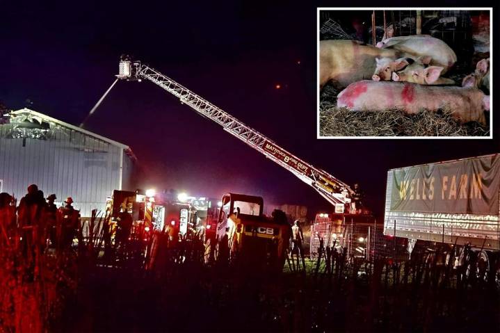 Devastating blaze rips through historic Long Island farm