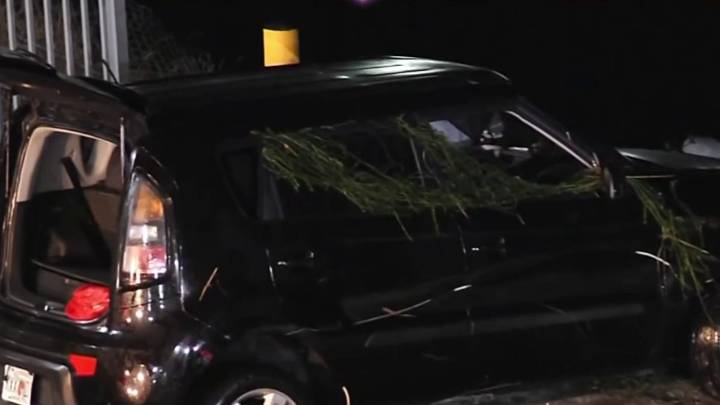 Video shows 73 year-old woman driving into lake, killing best friend  – NBC 6 South Florida