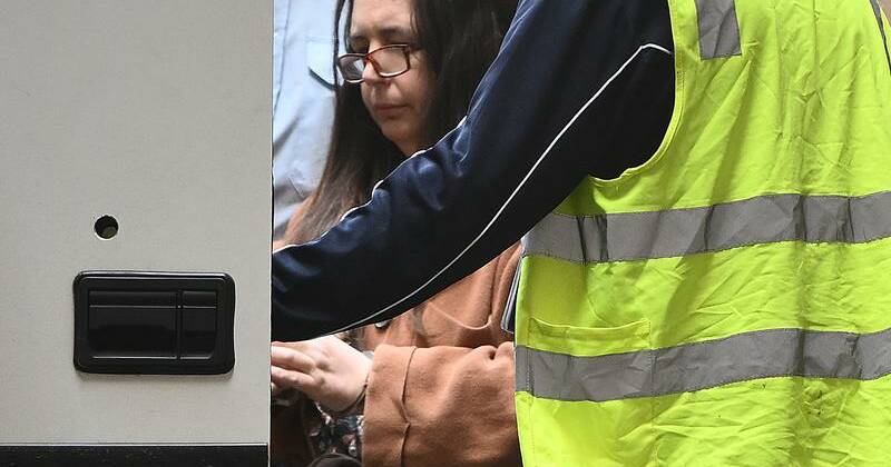 How murderer Erin Patterson will fight her convictions