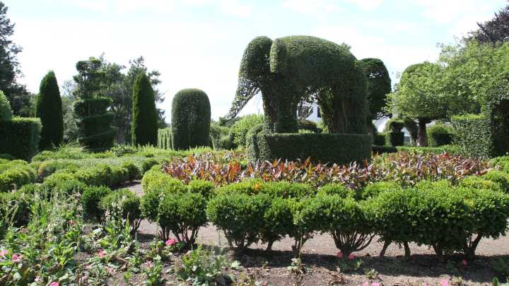 What to know about Portsmouth