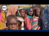 Sudan hunger crisis is a 'desperate situation': IRC