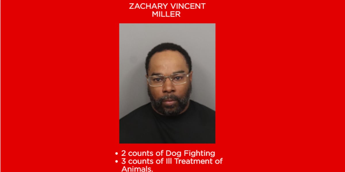Deputies arrest man accused of dog fighting