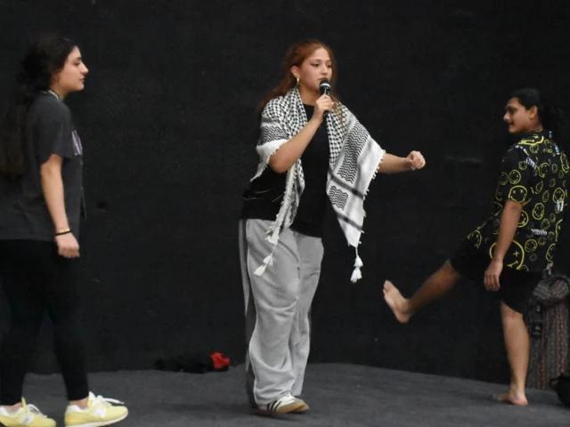 Palestinian chant at Karachi's World Culture Festival sparks debate on creative freedom
