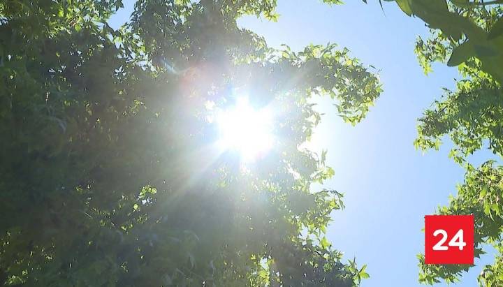 Ola de calor: Maule Actualiza Plan de Emergencias ante Riesgo de Incendios Forestales